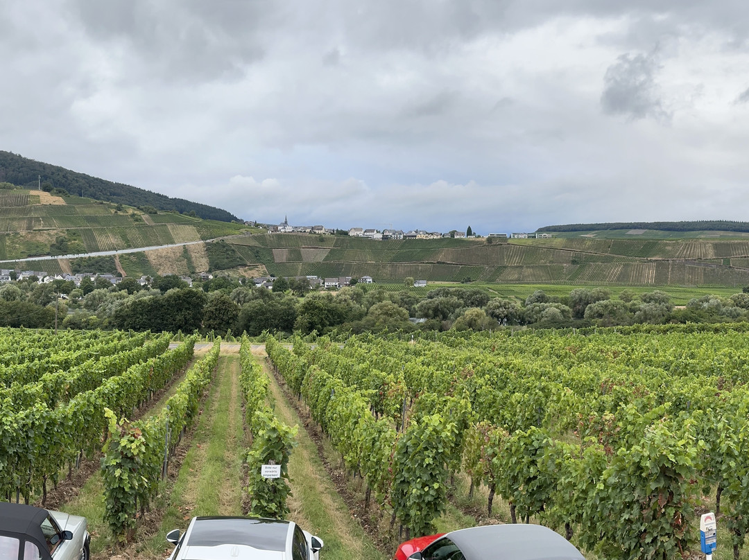 Weingut-Pension Tiliahof主图