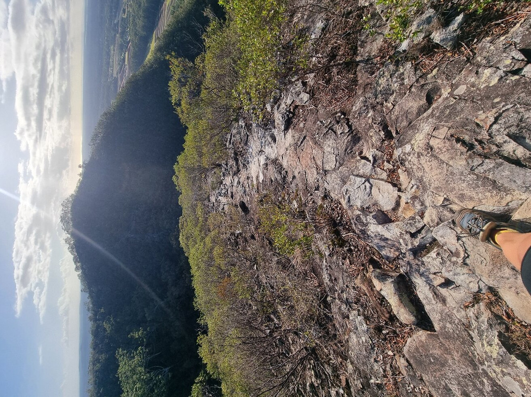 Glass House Mountains National Park景点图片