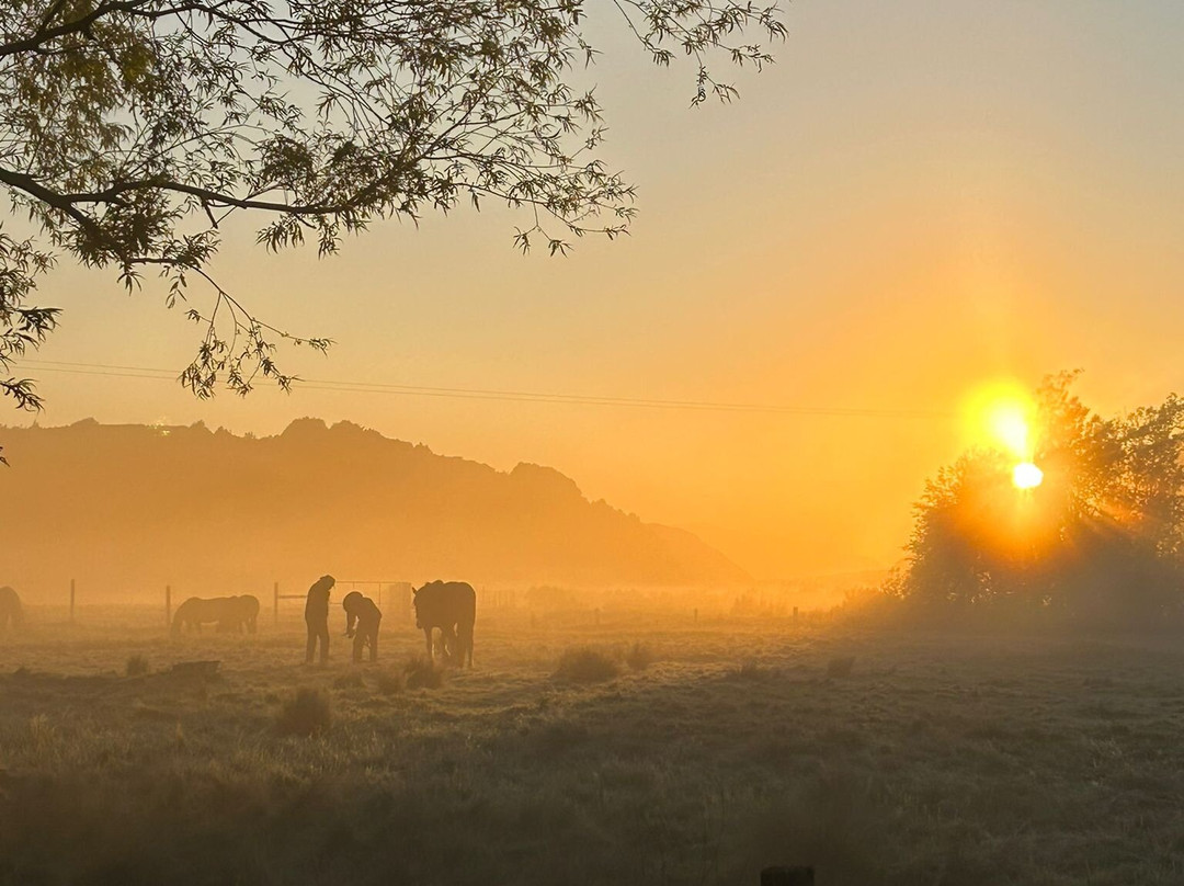 Alpine Horse Safaris景点图片