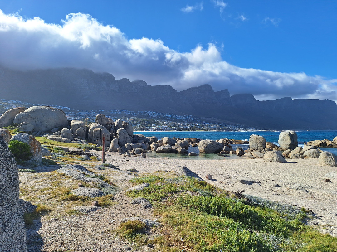 Maidens' Cove-开普敦中心区必去景点