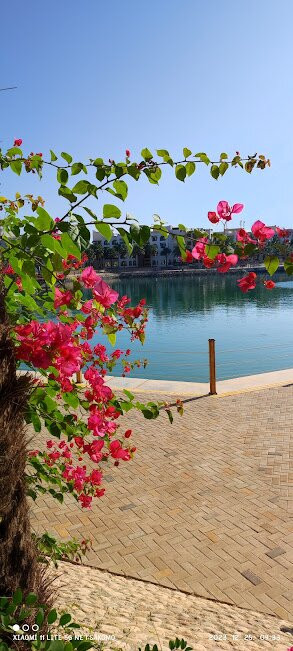 Juweira Boutique Hotel主图