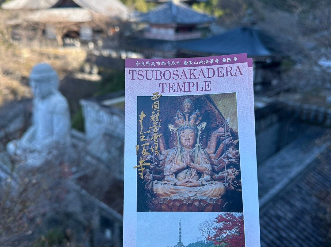 Tsubosaka-dera Temple景点图片