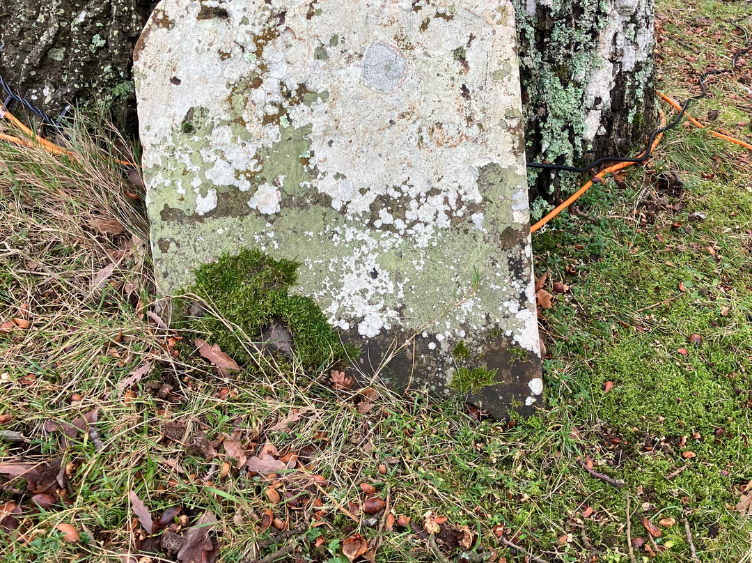 Westfiel (East Sussex) War Memorial景点图片