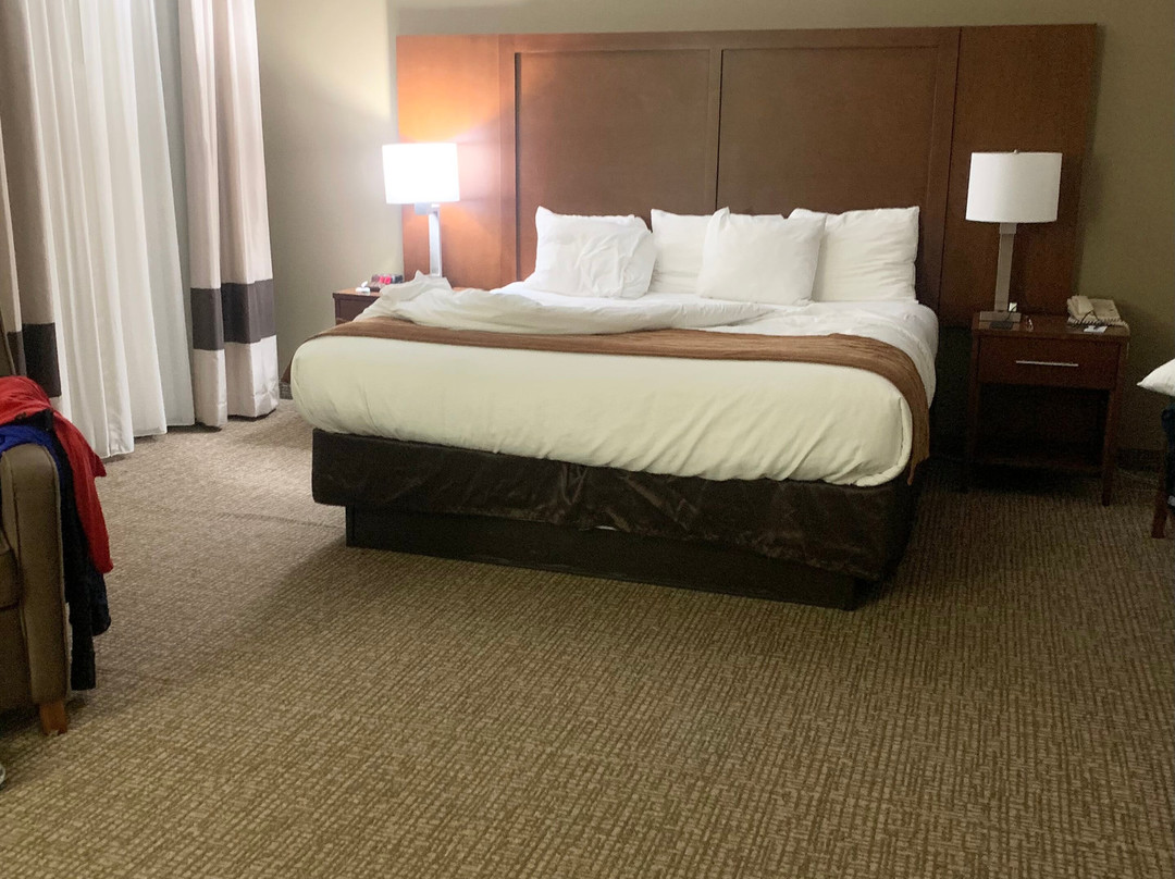 Comfort Inn & Suites Cordele主图