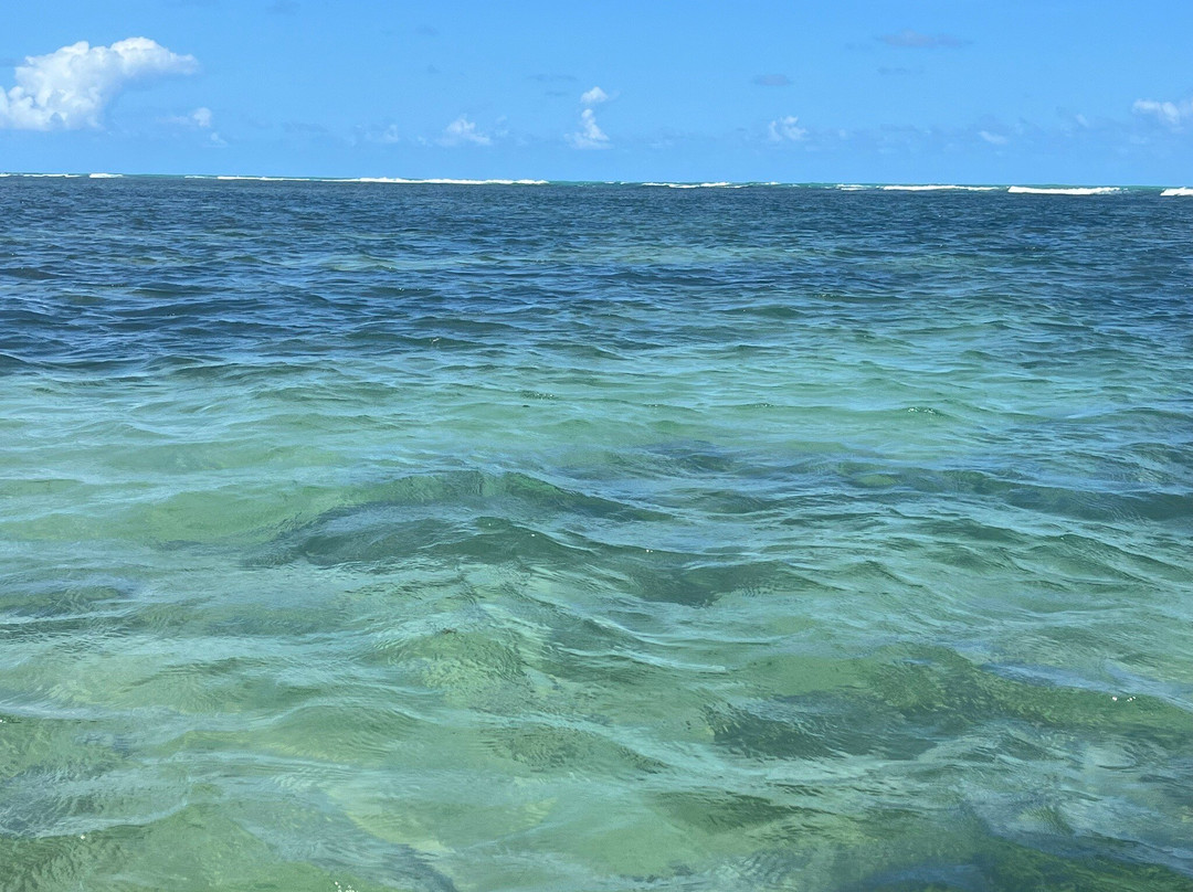 Areia Vermelha Marine State Park景点图片