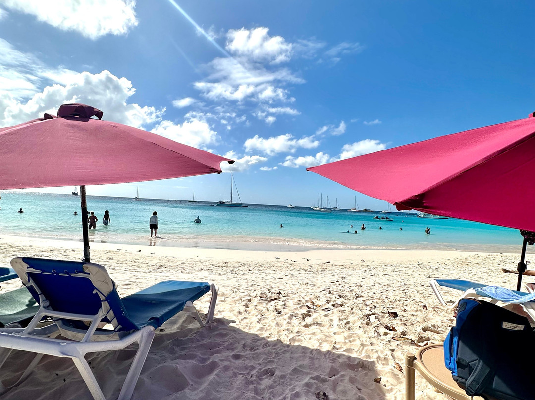 BC Taxi and Tours-Saint Mary's必去景点