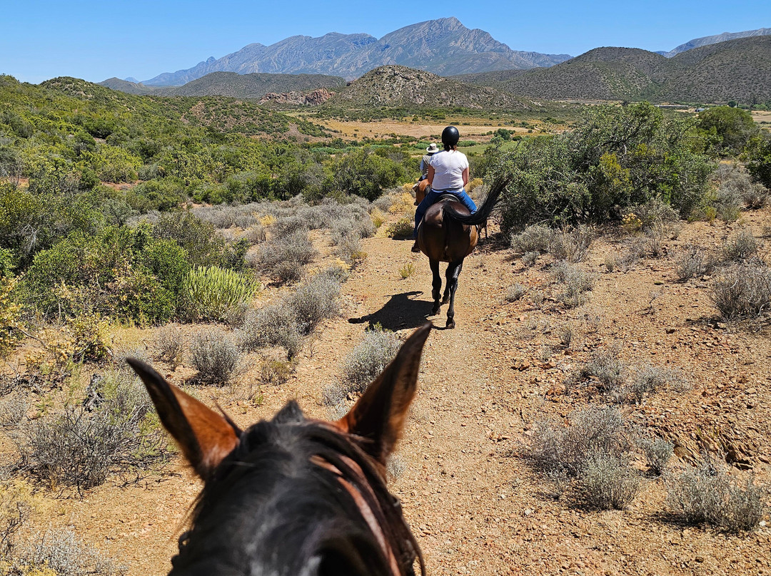 De Rust Horseriding - Klein Karoo Horse Adventures-德鲁必去景点