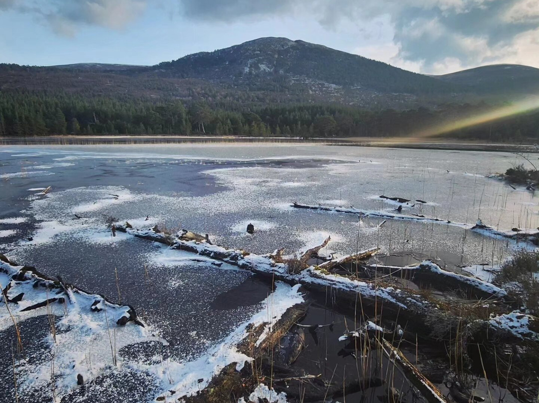 Cairngorms National Park景点图片