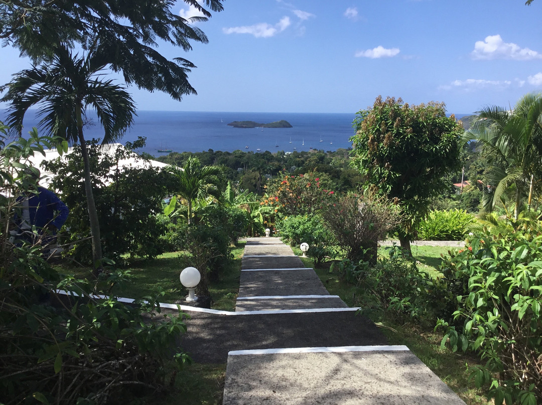 Le Jardin Tropical主图