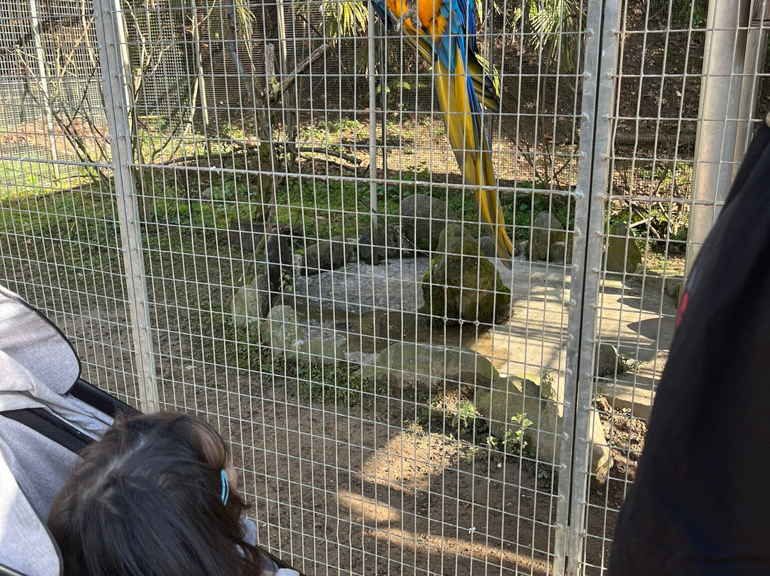 Zoo Al Maglio景点图片