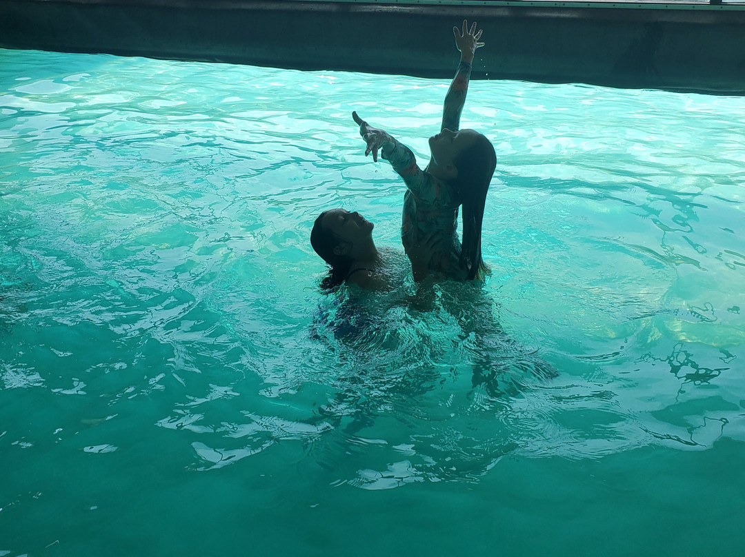 Drury Inn & Suites Kansas City Airport主图