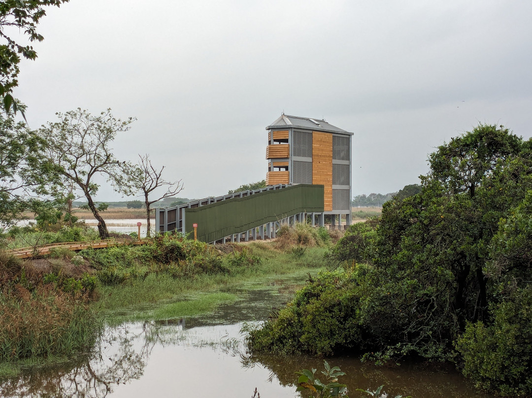 米埔自然保护区-香港必去景点
