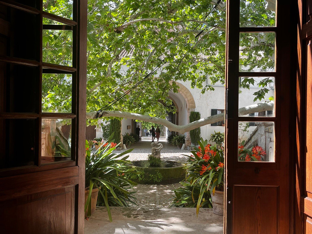 Jardín Botánico de Sóller-索耶尔必去景点