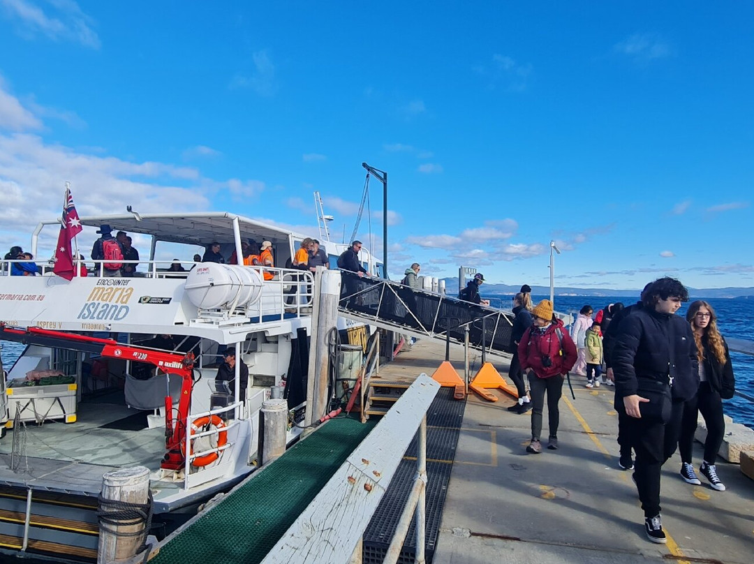 Encounter Maria Island ferry景点图片