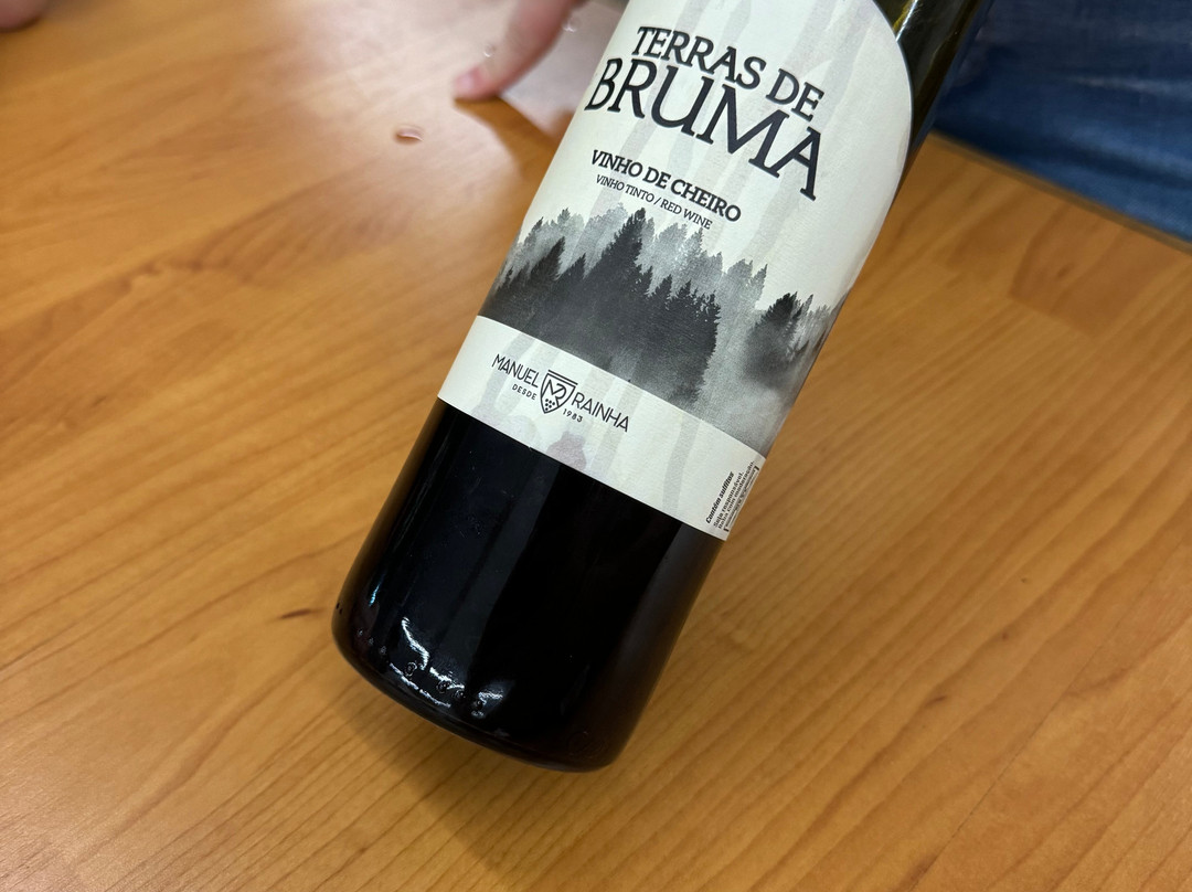 Manuel Rainha Winery景点图片