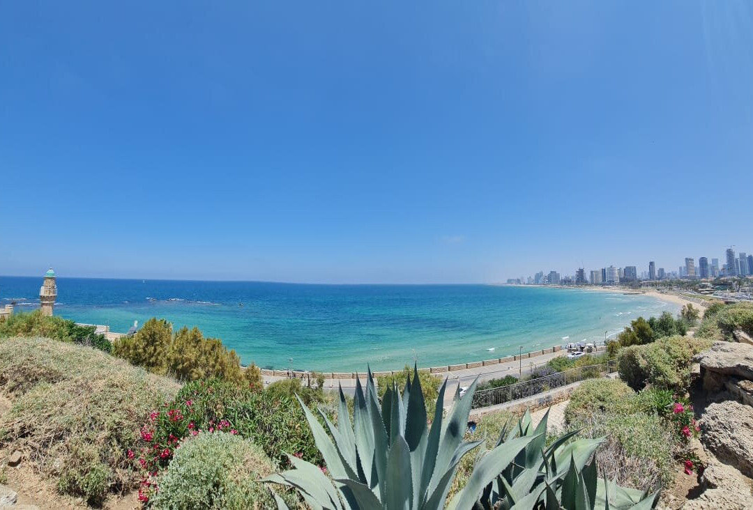 Hallelujah Tours - Day Tours-特拉维夫必去景点