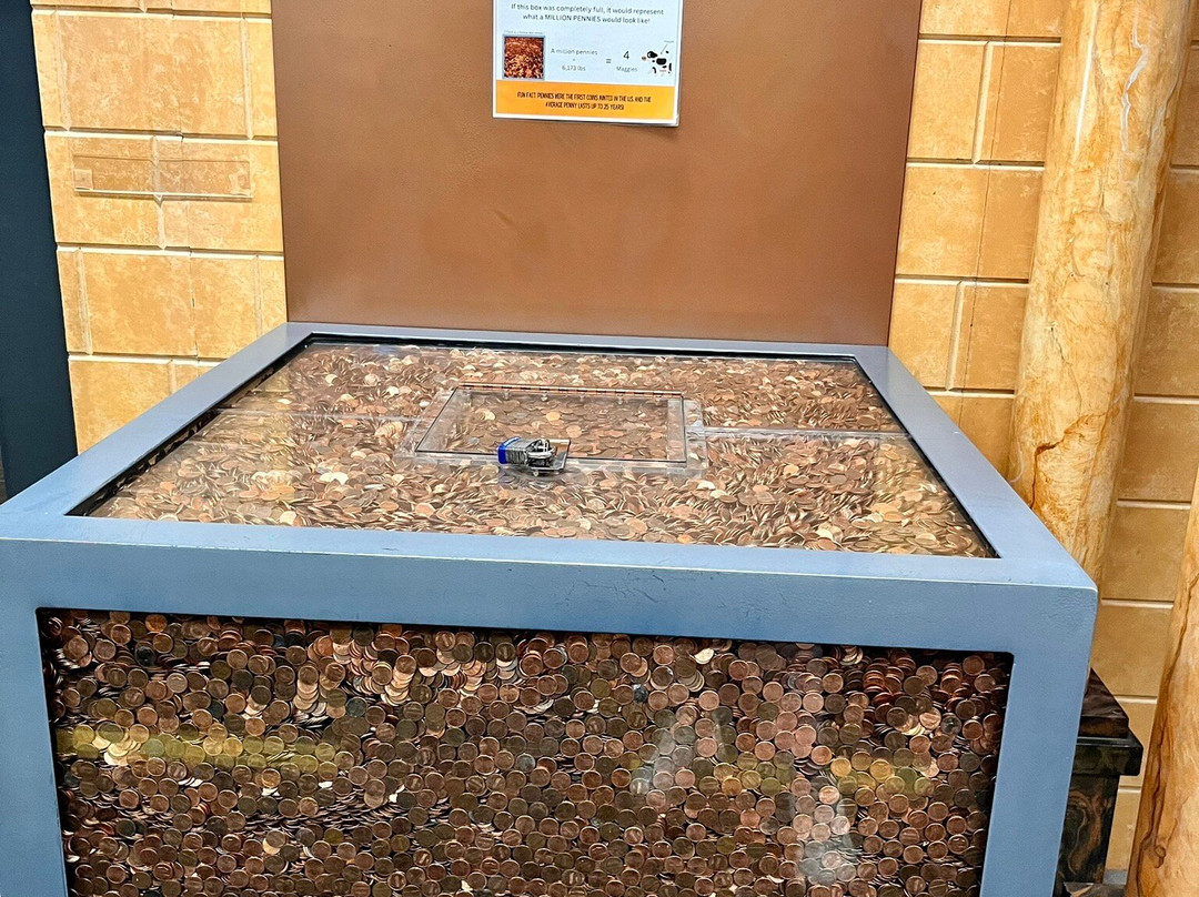 St. George Children's Museum-圣乔治必去景点