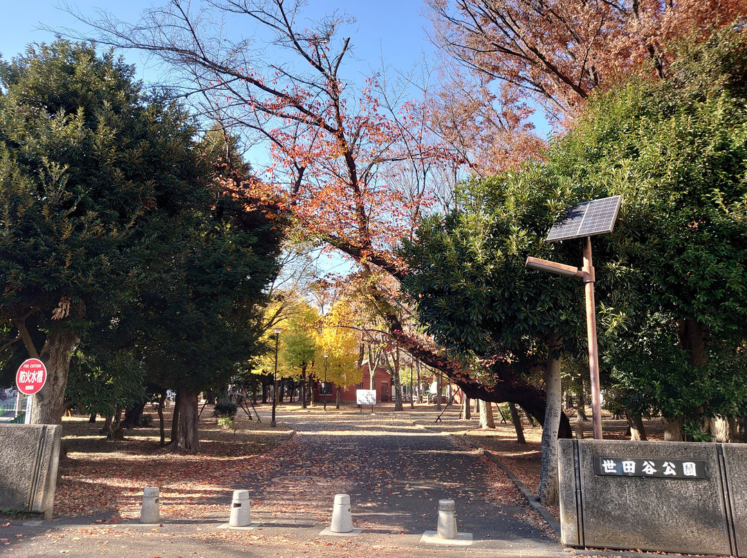 世田谷公园景点图片
