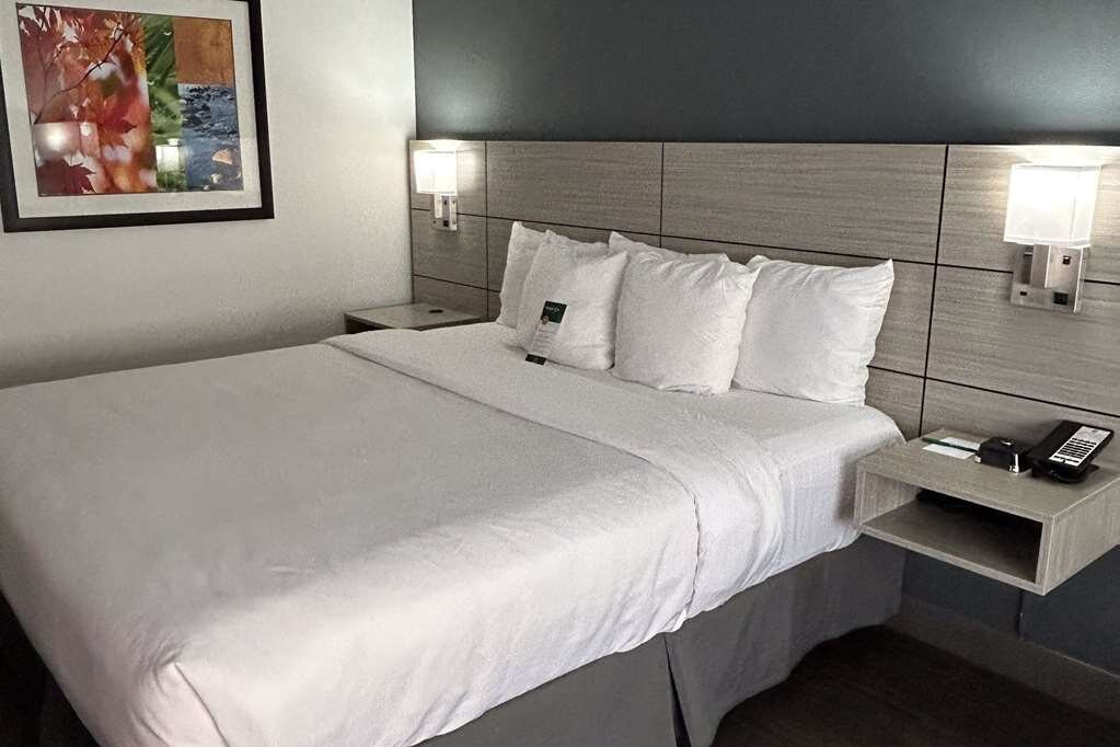 Quality Inn Leamington主图