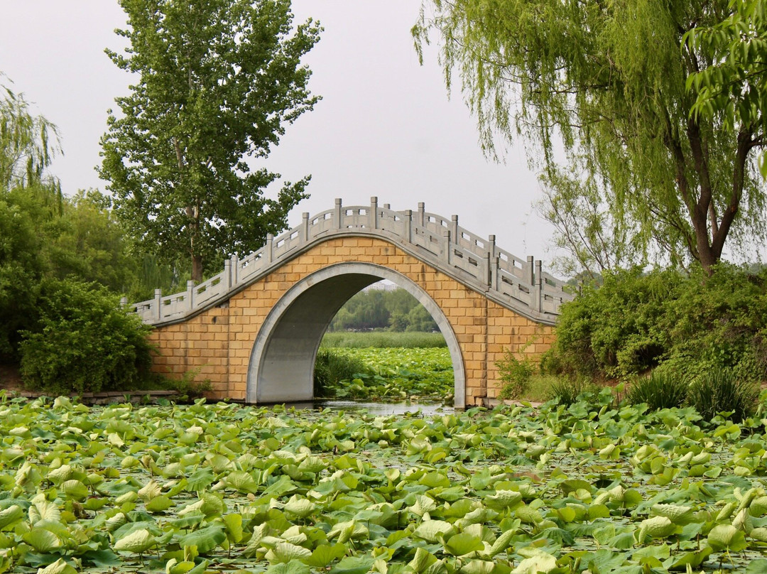 大运河森林公园-北京市必去景点