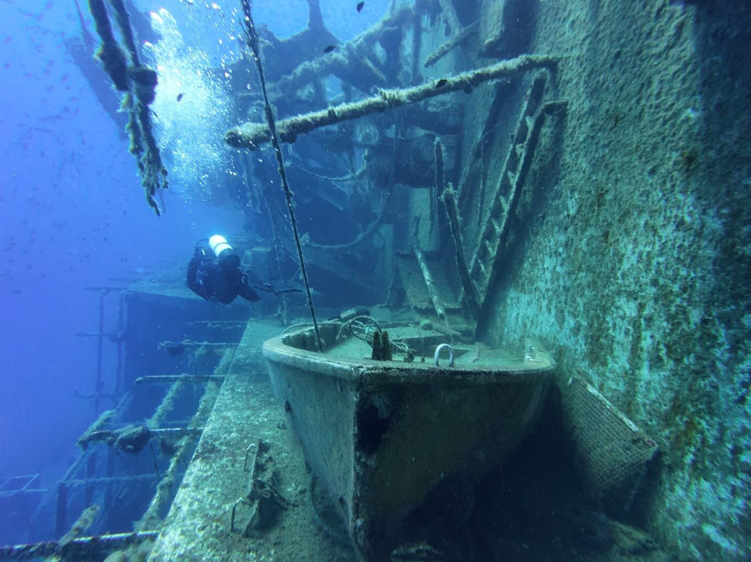 Zenobia Wreck Diving Site-拉纳加必去景点