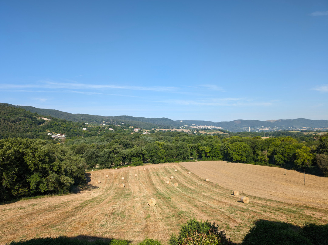 Torre Palombara - Dimora Storica主图