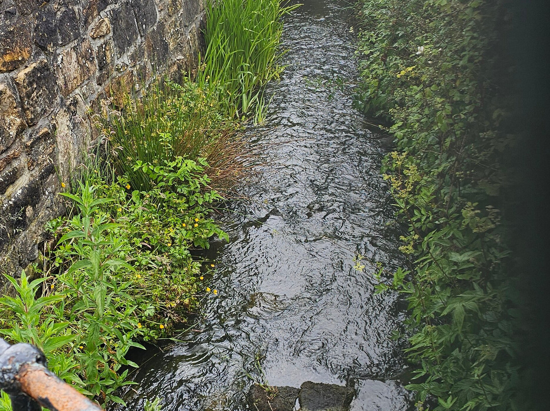 Wallace Well and Monument Robroyston-格拉斯哥必去景点