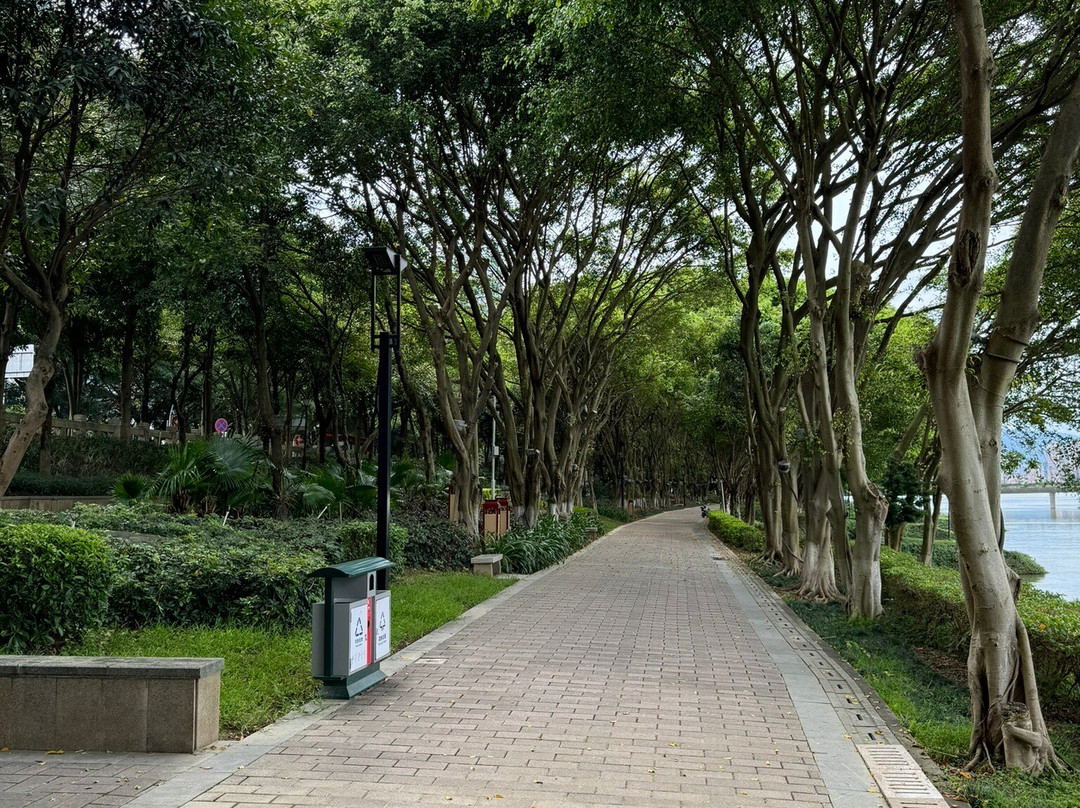 江滨公园景点图片