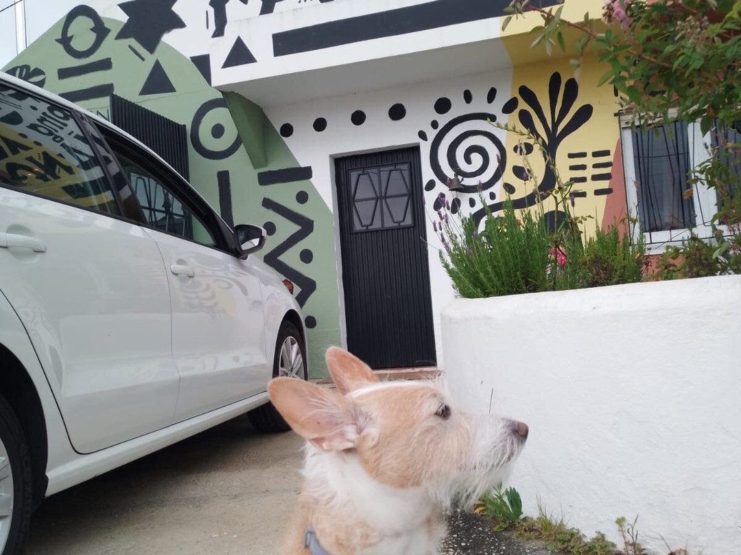 Campismo o Tamanco lda主图