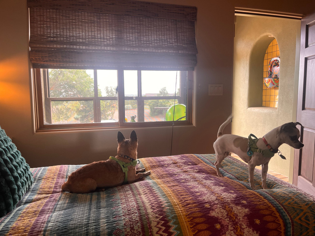 The Bobcat Inn主图