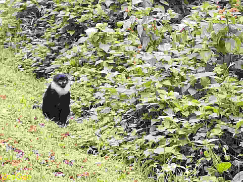 W International Tours