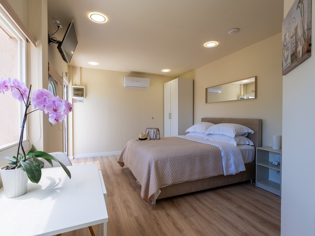 Modular Bungalows主图