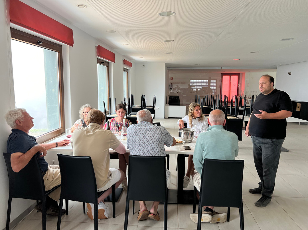 Bodegas La Divisa-Torvizcon必去景点