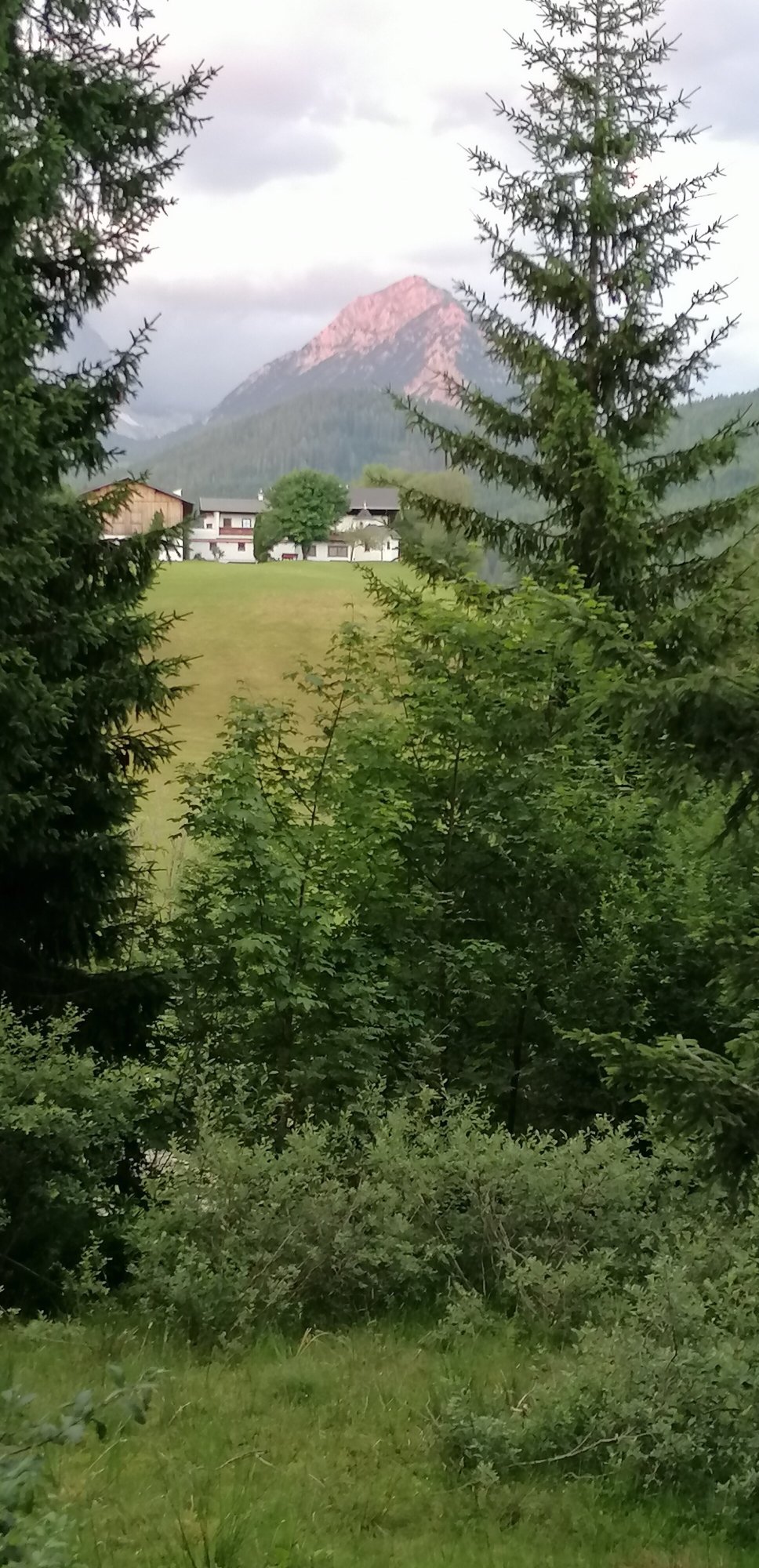 Hotel ...mein Neubergerhof-官方