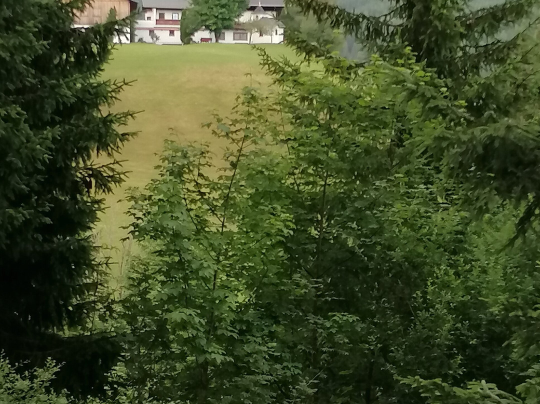 Hotel ...mein Neubergerhof主图