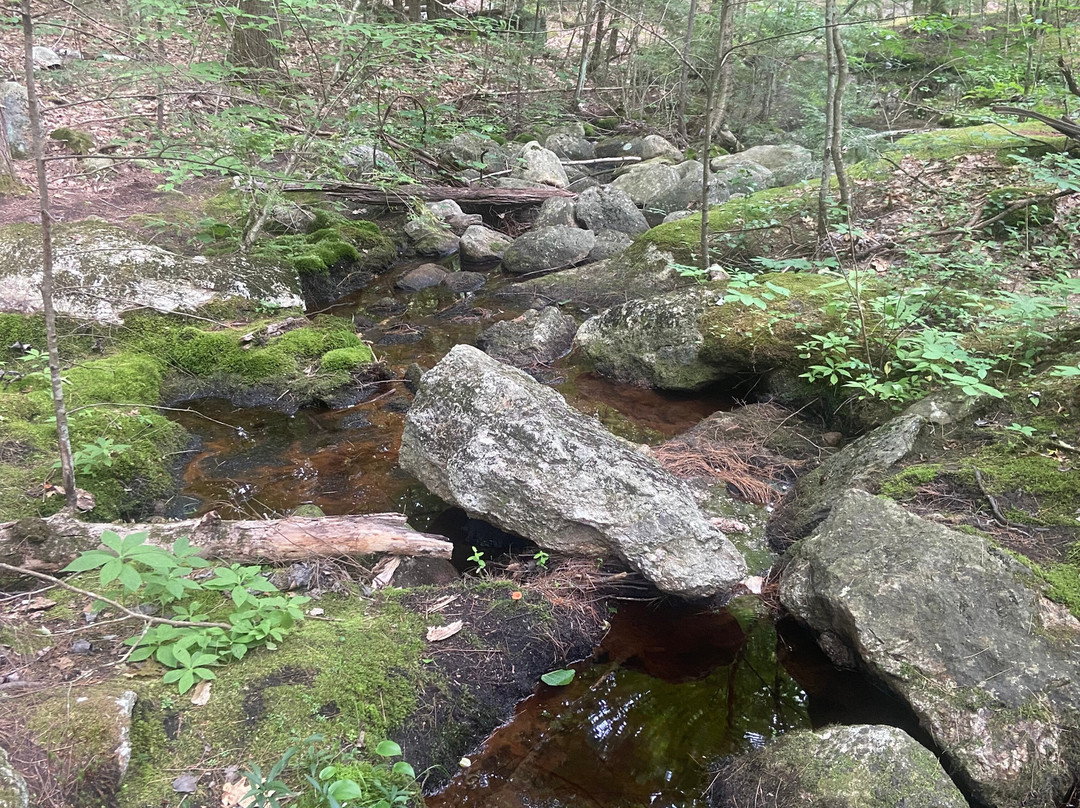 Pulpit Rock-East Burke必去景点