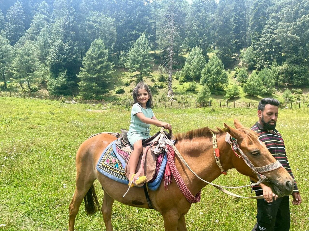 Travellers Inn主图