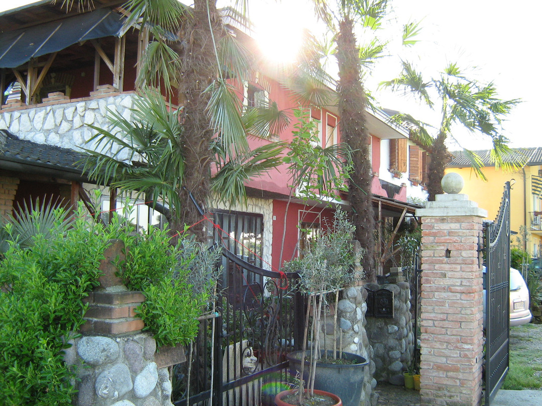 B&B Le Palme d'Oro主图