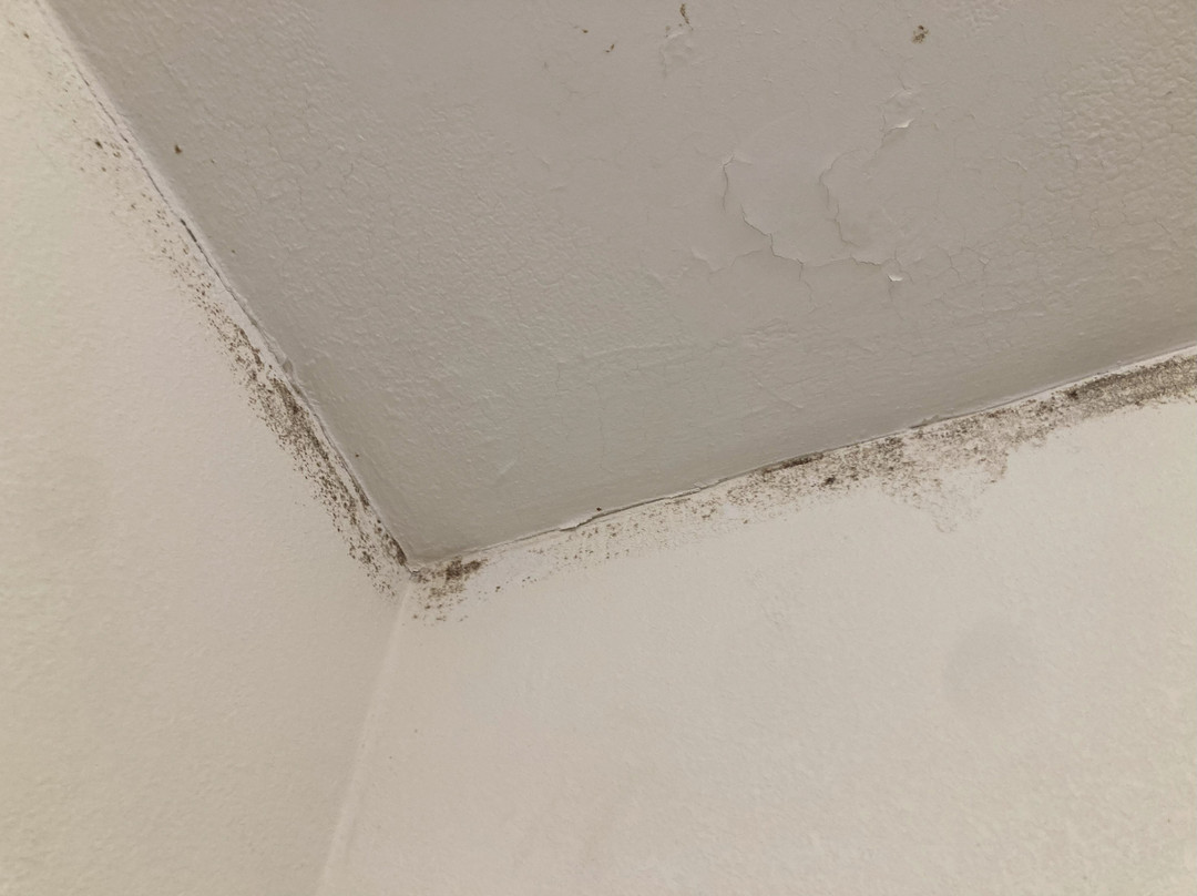 Quality Inn Roanoke Near Lake Gaston主图