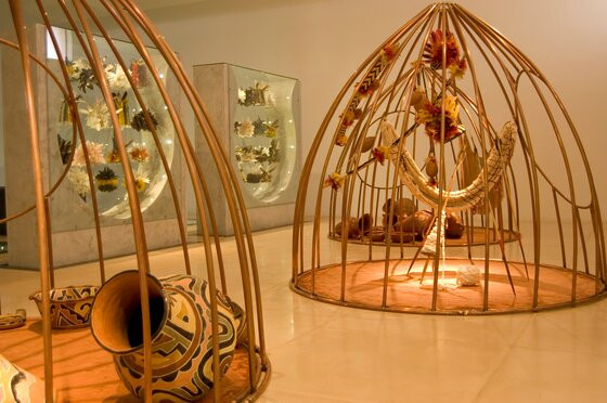 Museu Das Culturas Dom Bosco景点图片