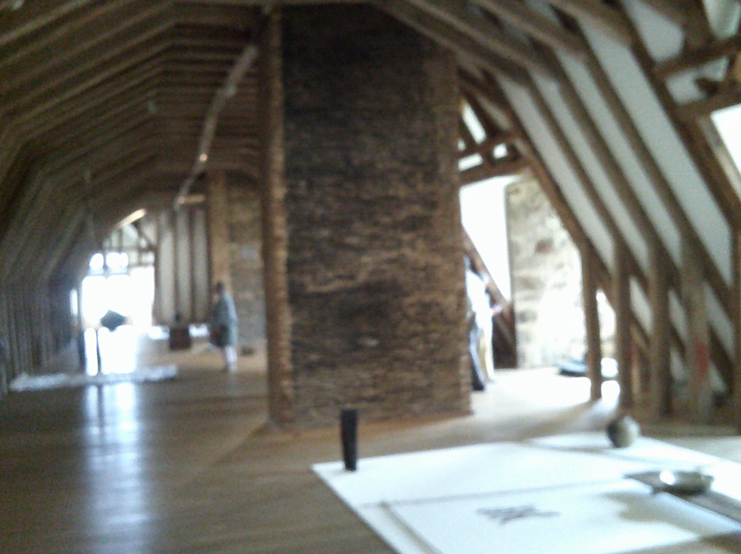 Musée d'art contemporain de la Haute-Vienne, Château de Rochechouart景点图片