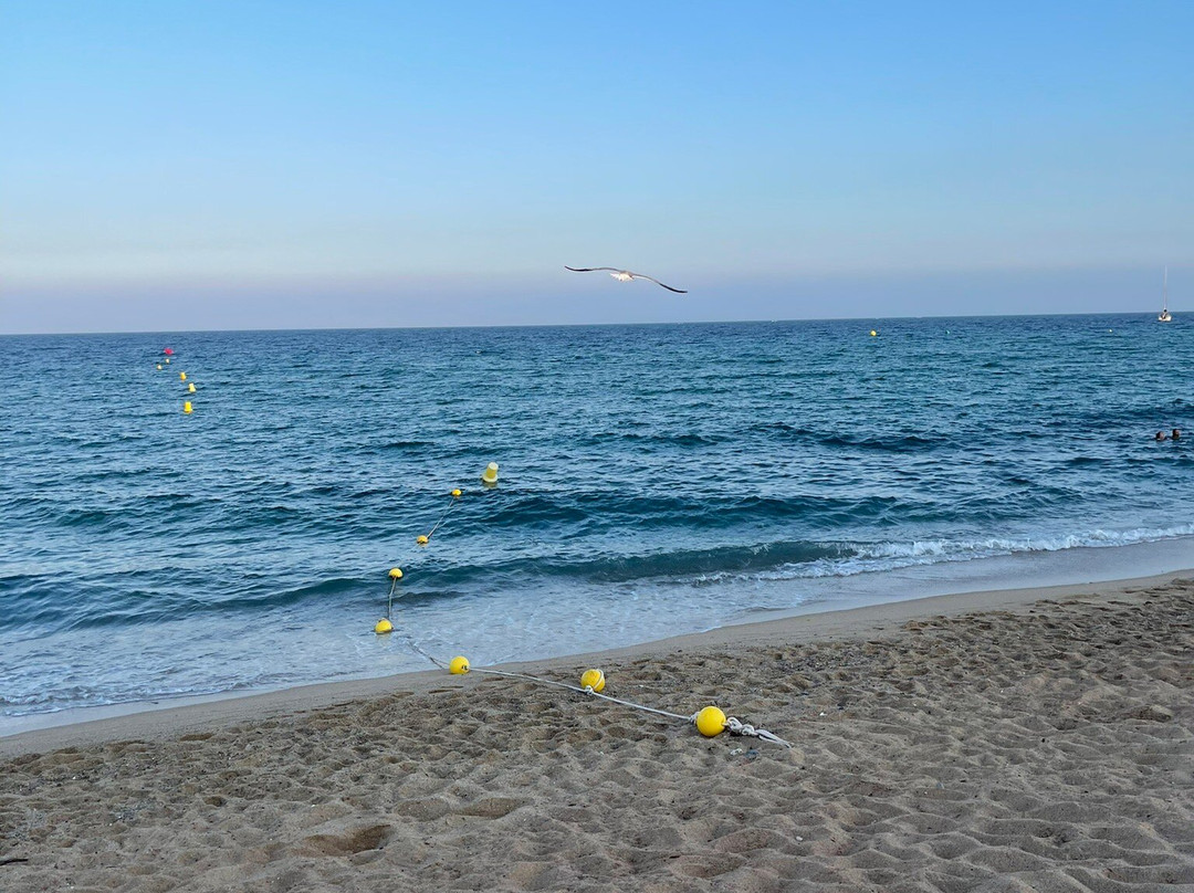 Badalona Beach景点图片