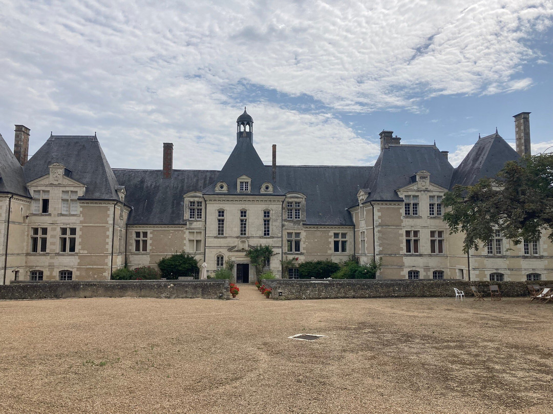 Chateau de Marcilly景点图片