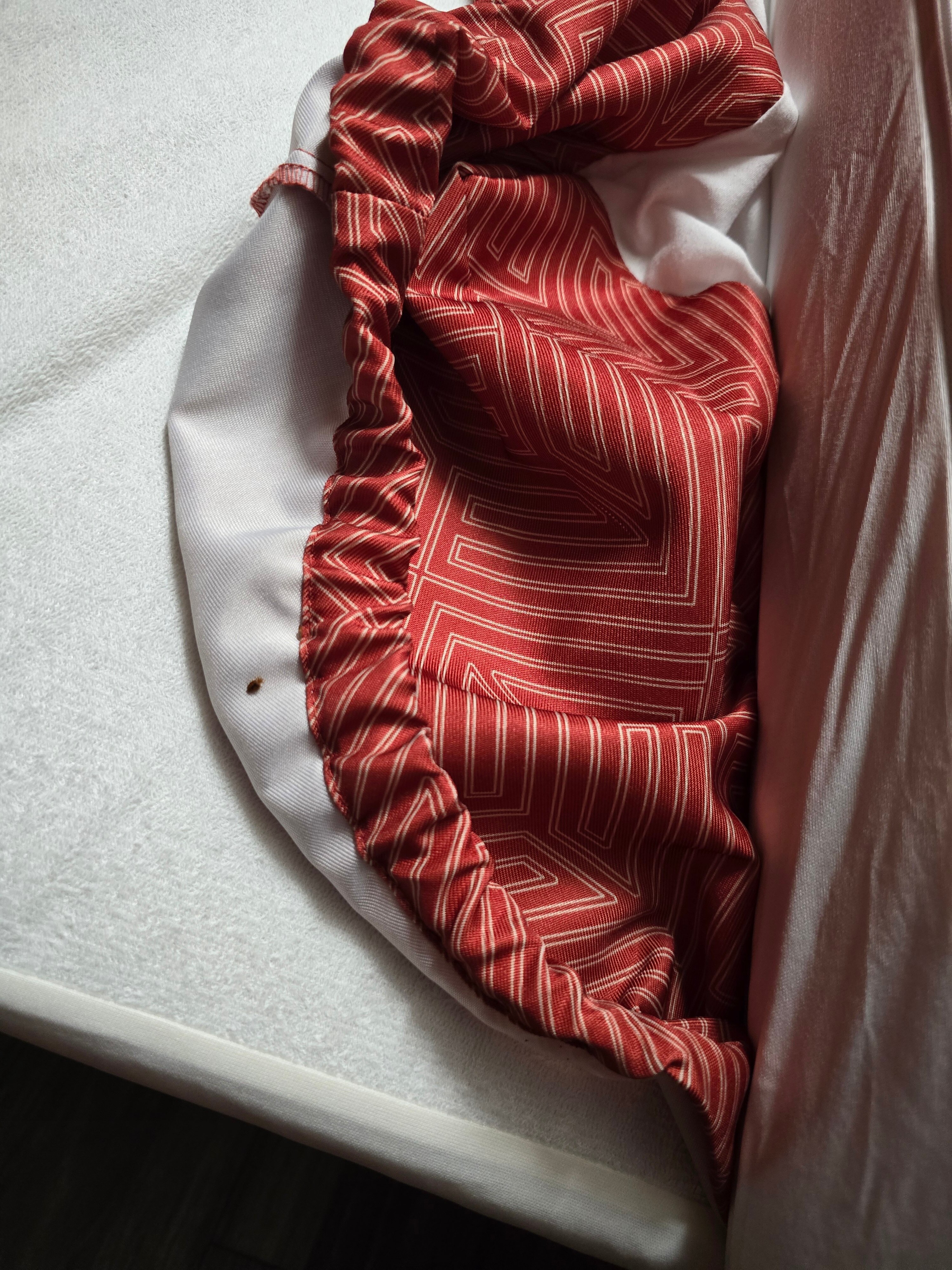 Motel 6   Coliseum-官方