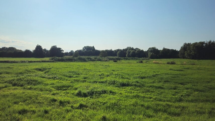 Landhotel Langholz主图