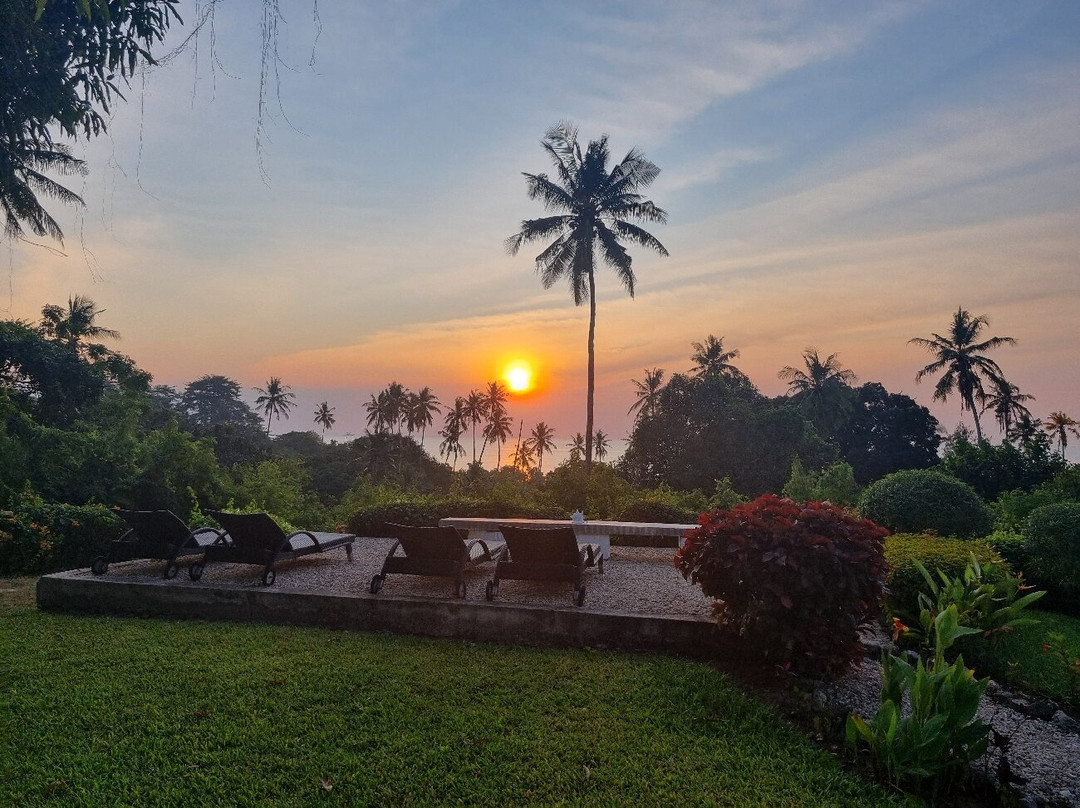 The Manor House by Sansi主图