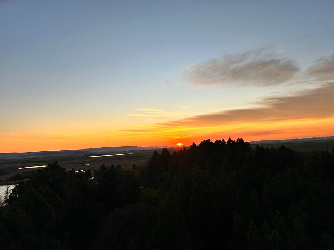 Drakensberg Ballooning-温特顿必去景点