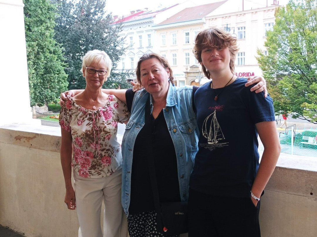 Stara Radnice & Muzeum Prostejovska景点图片