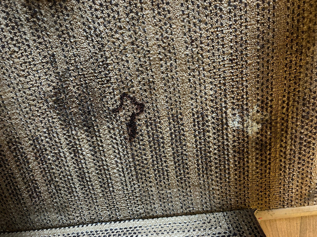 Extended Stay America - Tacoma - South主图