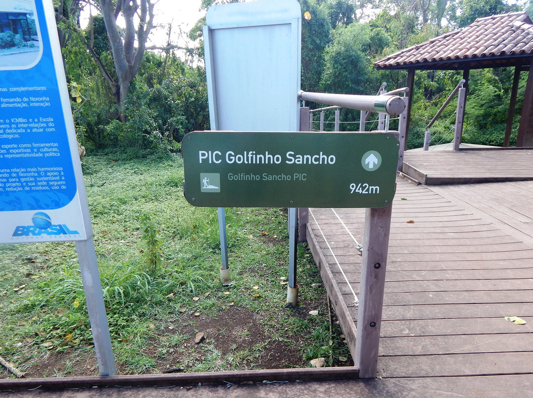 Baia dos Golfinhos-费尔南多-迪诺罗尼亚群岛必去景点